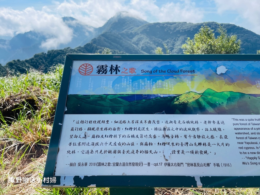 宜蘭景點》台灣山毛櫸國家步道｜走進太平山的檜木杉林裡，漫步在