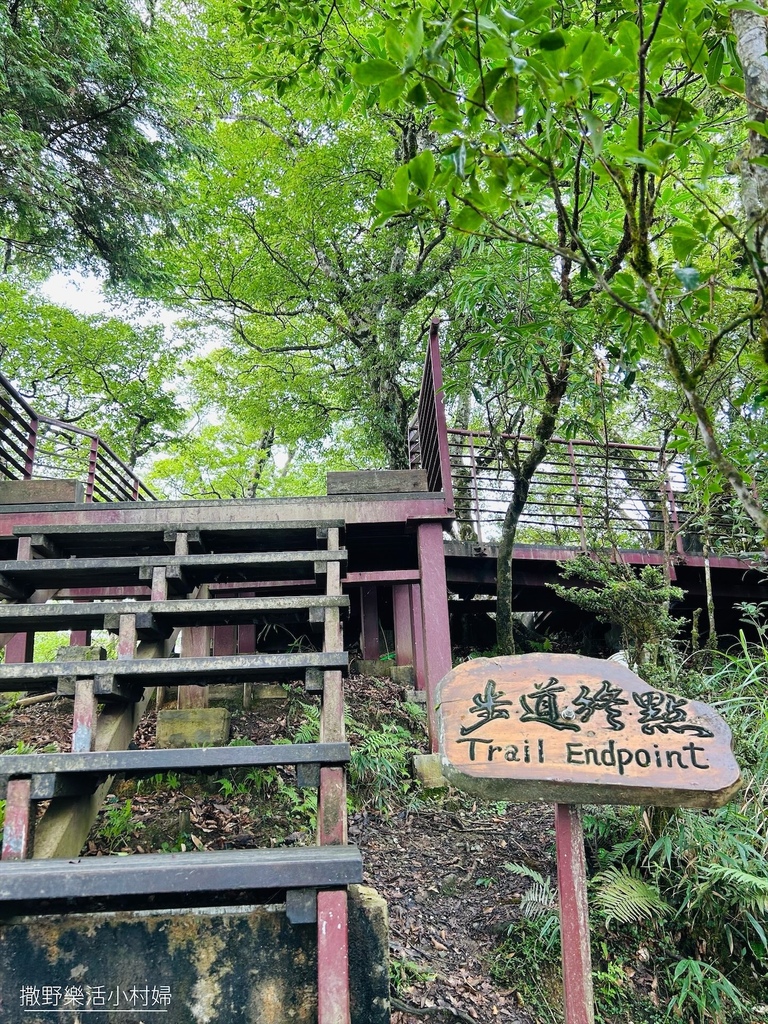 宜蘭景點》台灣山毛櫸國家步道｜走進太平山的檜木杉林裡，漫步在