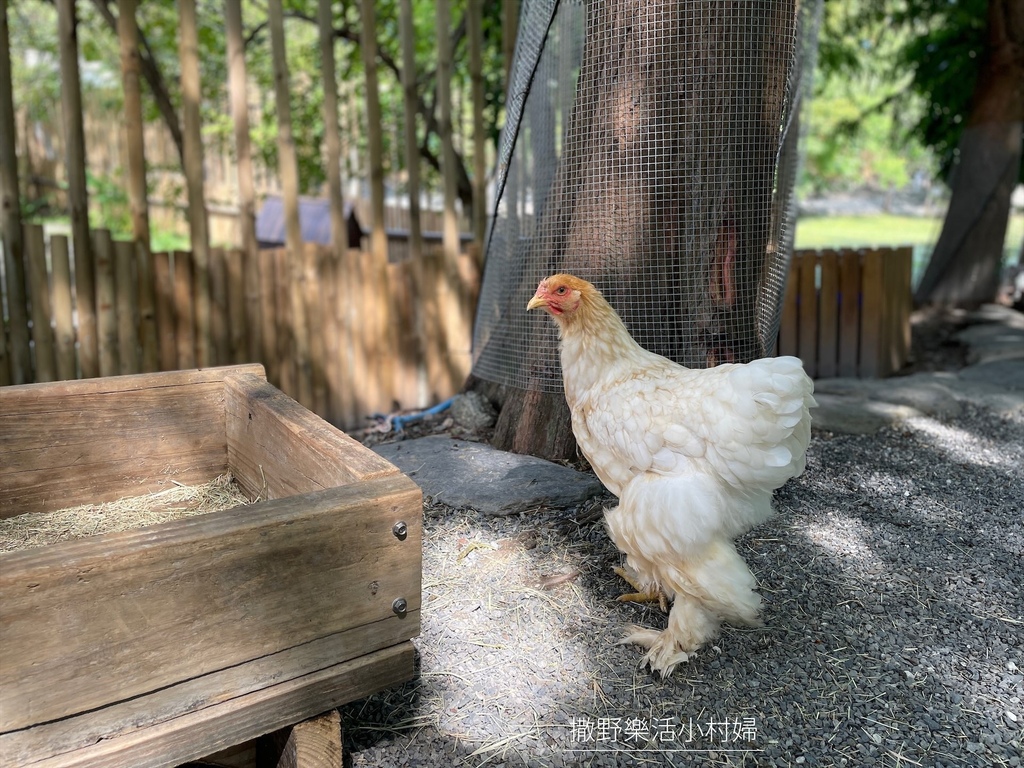 宜蘭》最新景點【水岸森林休閒農場_森林物語】超萌系可愛動物陪