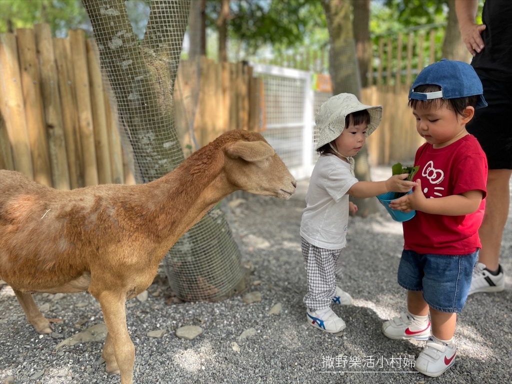 宜蘭》最新景點【水岸森林休閒農場_森林物語】超萌系可愛動物陪