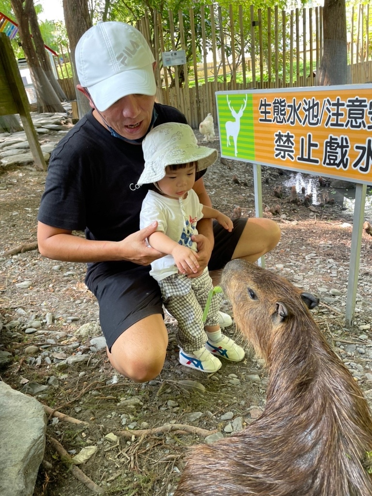 宜蘭》最新景點【水岸森林休閒農場_森林物語】超萌系可愛動物陪