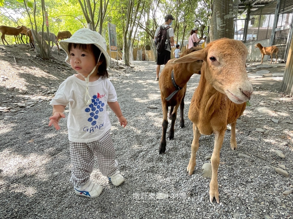 宜蘭》最新景點【水岸森林休閒農場_森林物語】超萌系可愛動物陪