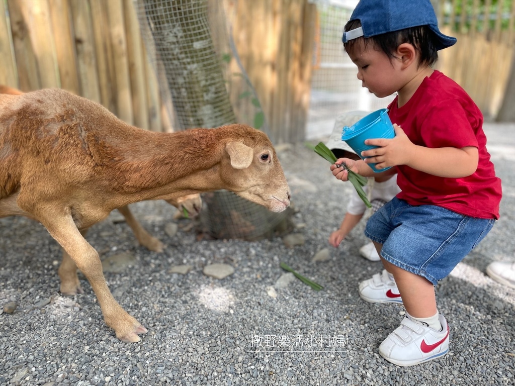 宜蘭》最新景點【水岸森林休閒農場_森林物語】超萌系可愛動物陪