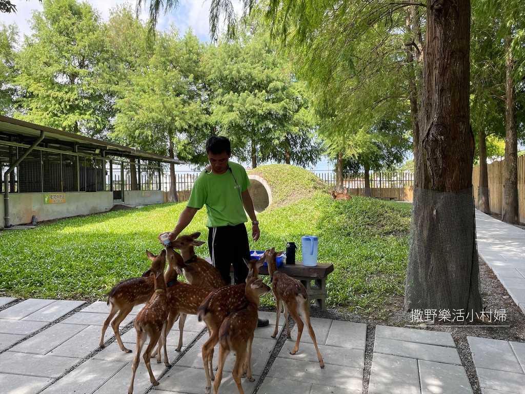 宜蘭》最新景點【水岸森林休閒農場_森林物語】超萌系可愛動物陪