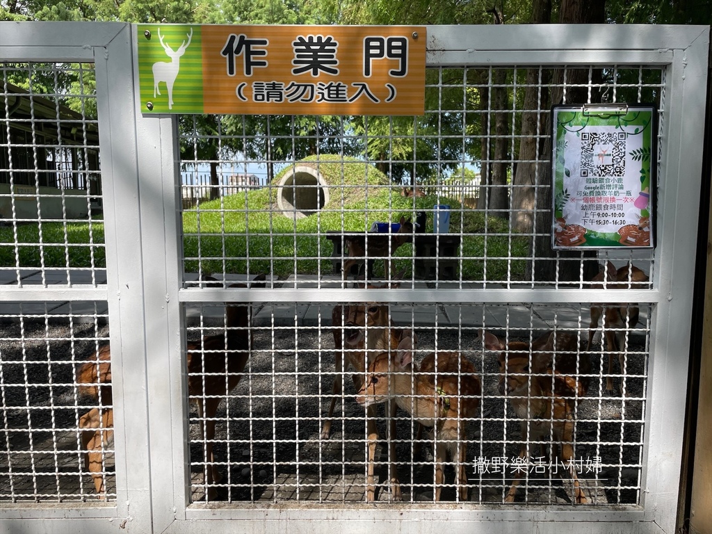 宜蘭》最新景點【水岸森林休閒農場_森林物語】超萌系可愛動物陪