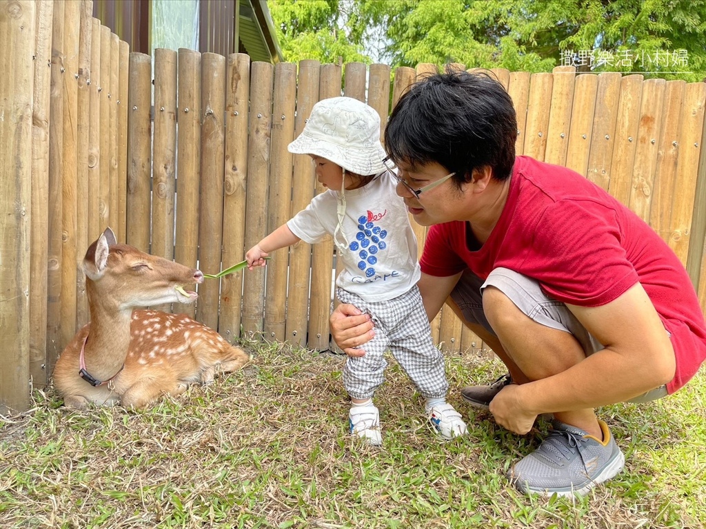 宜蘭》最新景點【水岸森林休閒農場_森林物語】超萌系可愛動物陪