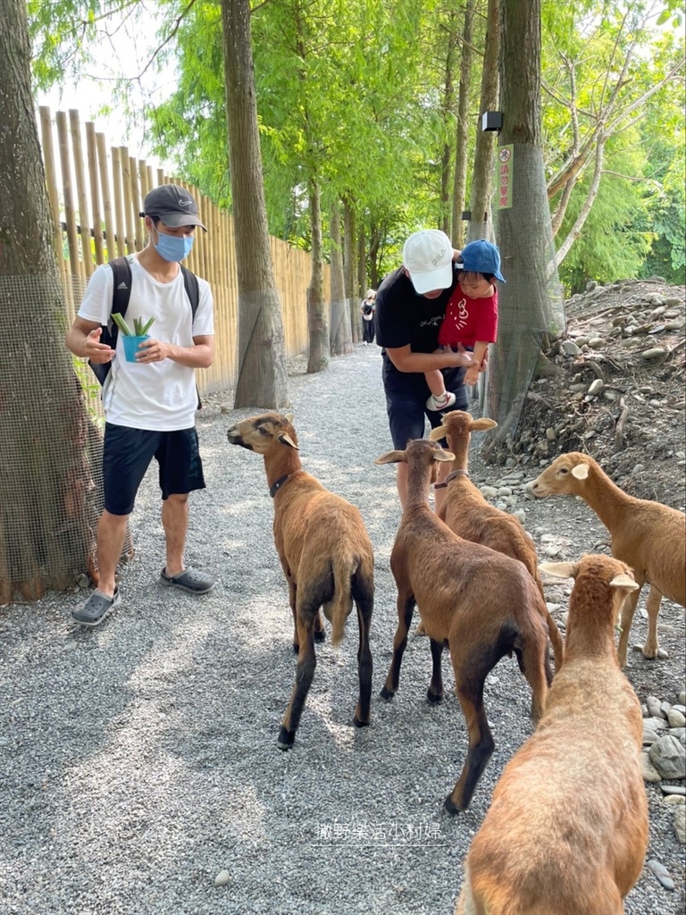 宜蘭》最新景點【水岸森林休閒農場_森林物語】超萌系可愛動物陪