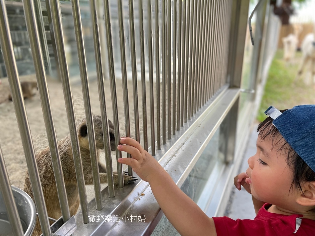 宜蘭》最新景點【水岸森林休閒農場_森林物語】超萌系可愛動物陪