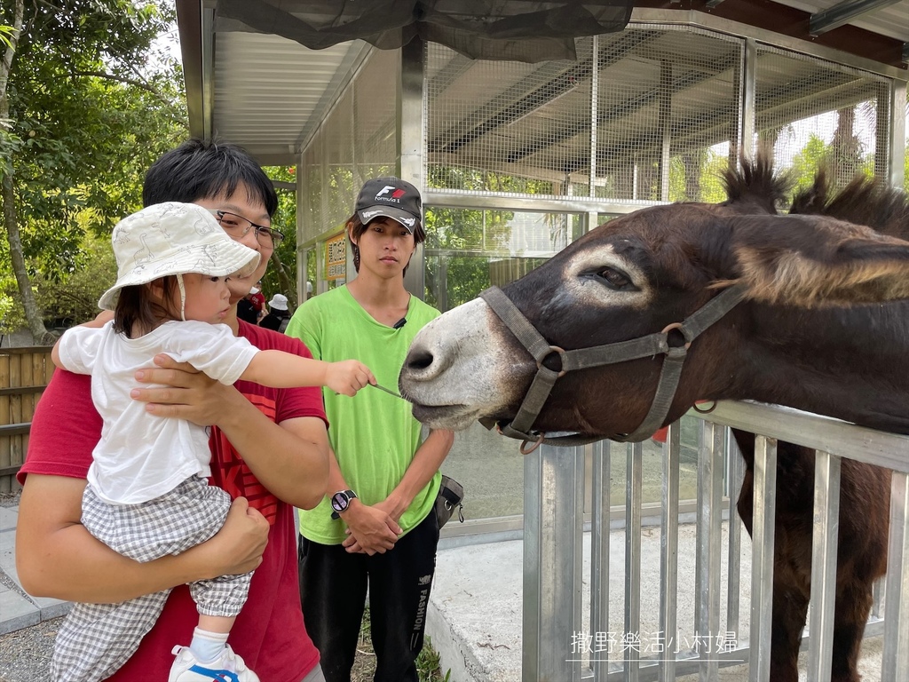 宜蘭》最新景點【水岸森林休閒農場_森林物語】超萌系可愛動物陪