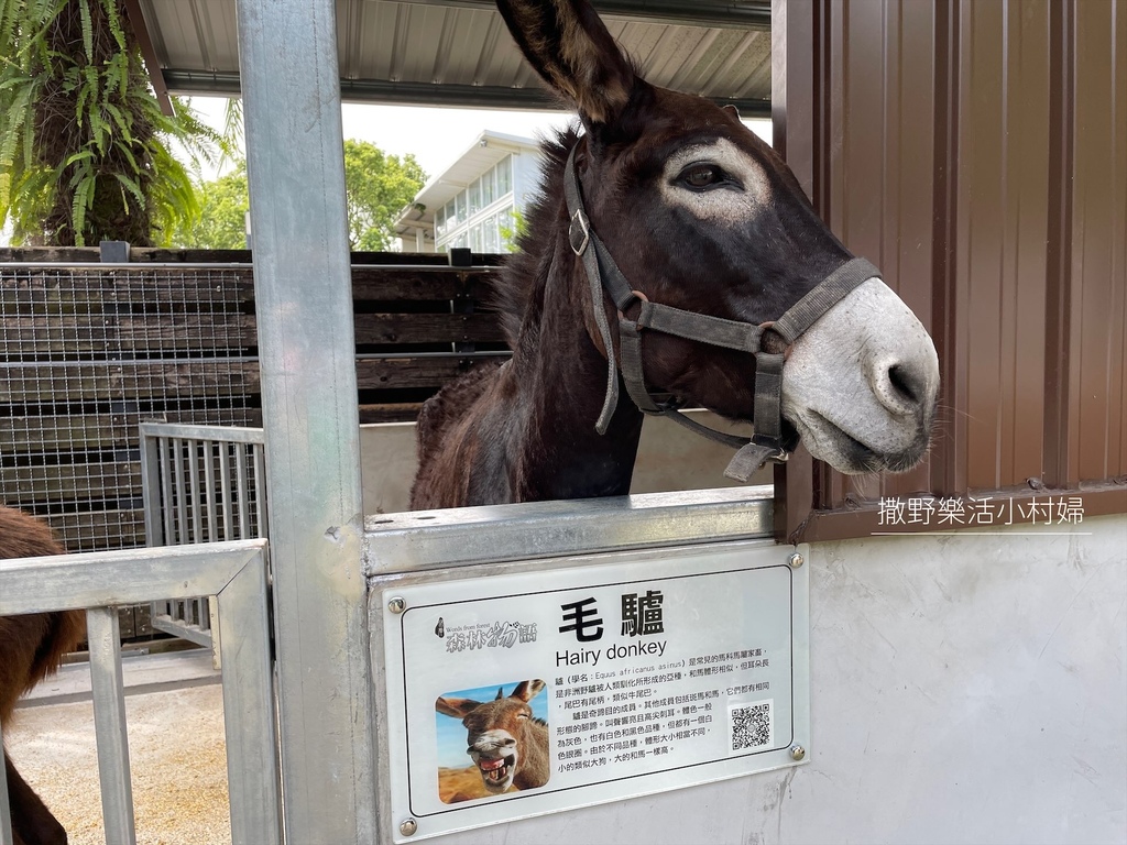 宜蘭》最新景點【水岸森林休閒農場_森林物語】超萌系可愛動物陪