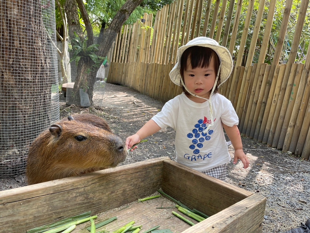 宜蘭》最新景點【水岸森林休閒農場_森林物語】超萌系可愛動物陪