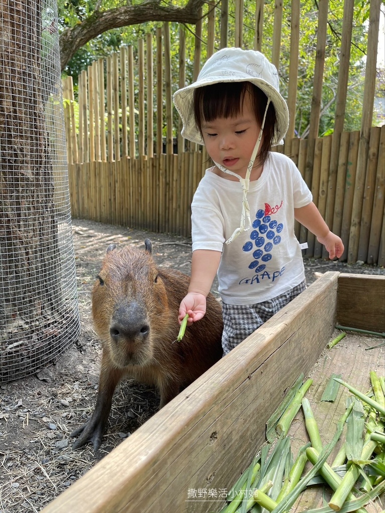 宜蘭》最新景點【水岸森林休閒農場_森林物語】超萌系可愛動物陪