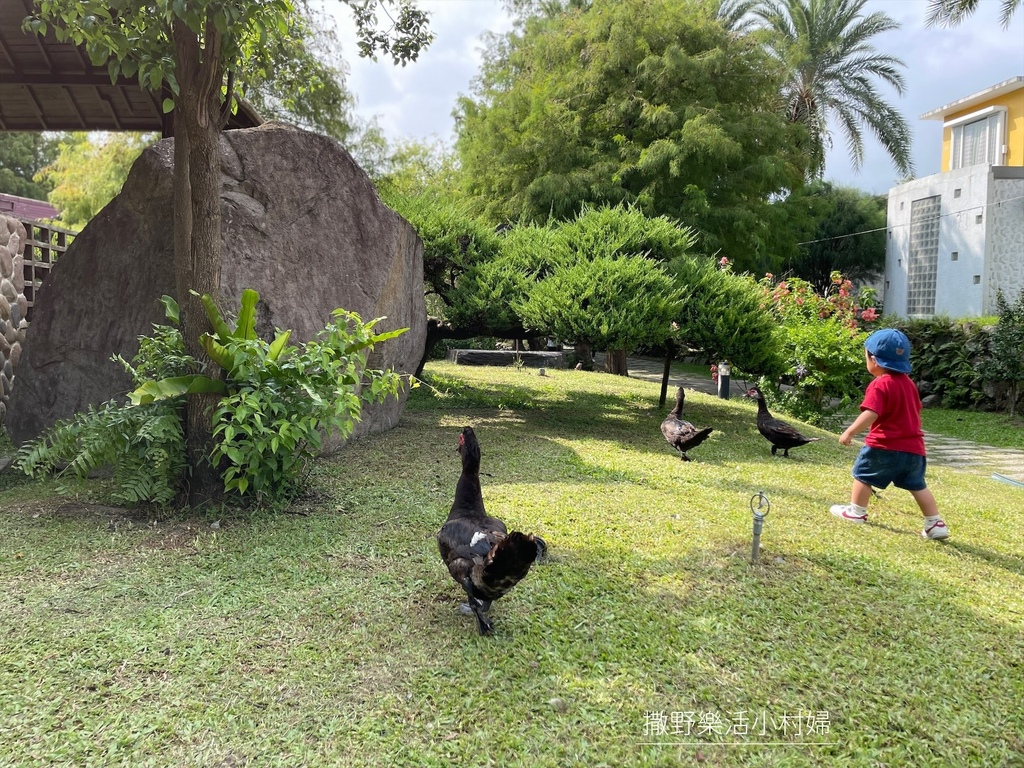 宜蘭》最新景點【水岸森林休閒農場_森林物語】超萌系可愛動物陪