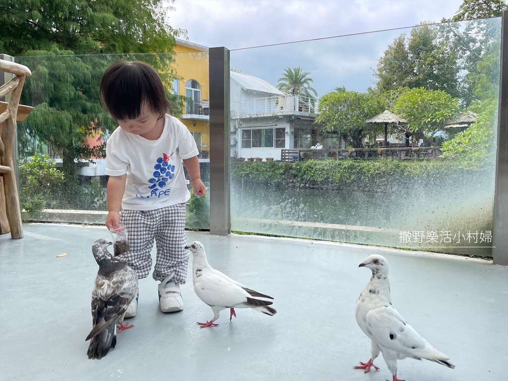 宜蘭》最新景點【水岸森林休閒農場_森林物語】超萌系可愛動物陪