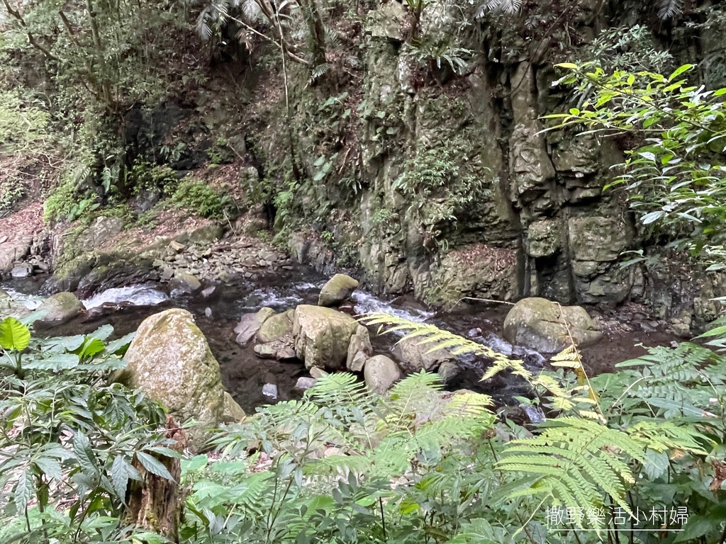 望看絕美階梯瀑布，原始自然拱形竹橋，輕鬆漫步在溪畔間【老鷹溪