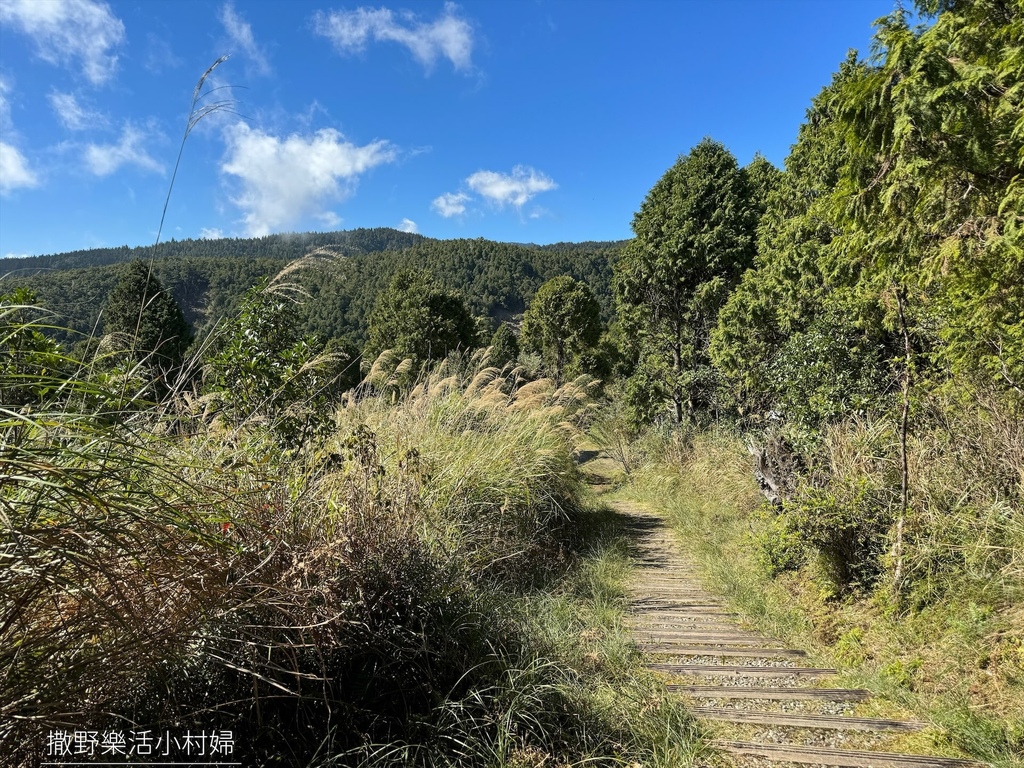 宜蘭旅遊》沿途生態豐富幽美【望洋山步道】觀日出望海洋，步道好