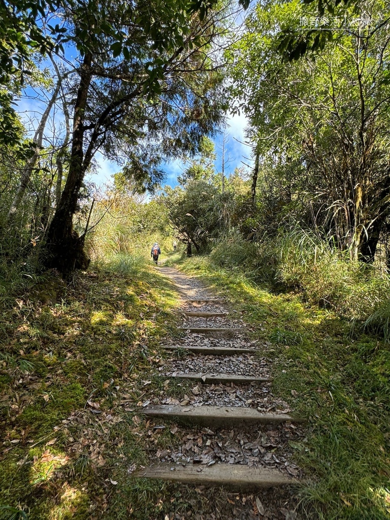 宜蘭旅遊》沿途生態豐富幽美【望洋山步道】觀日出望海洋，步道好