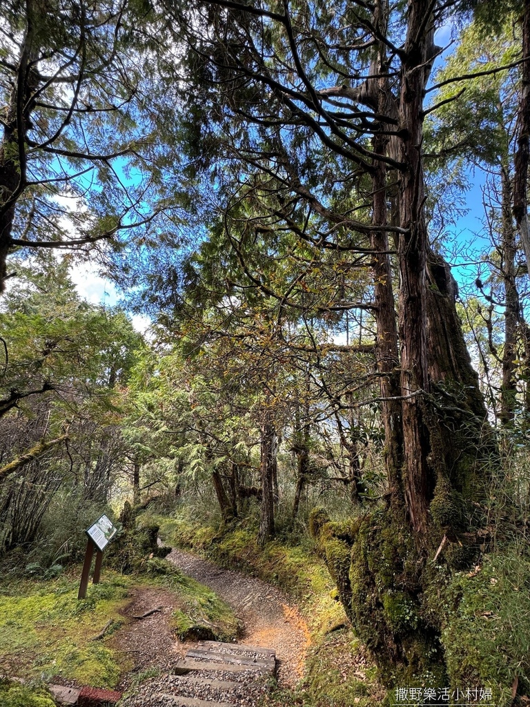 宜蘭旅遊》沿途生態豐富幽美【望洋山步道】觀日出望海洋，步道好