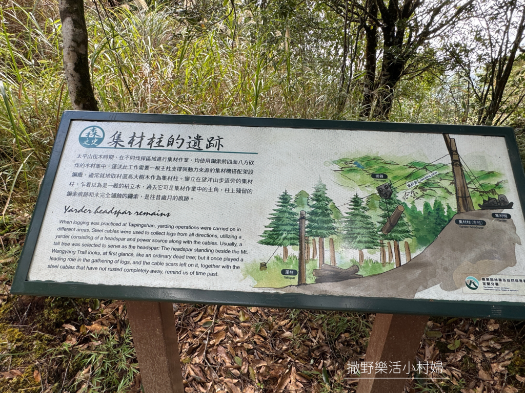 宜蘭旅遊》沿途生態豐富幽美【望洋山步道】觀日出望海洋，步道好