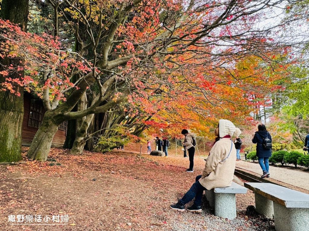 全台最高賞楓景點【福壽山農場】每年必追的魔幻楓紅美景，沉醉在