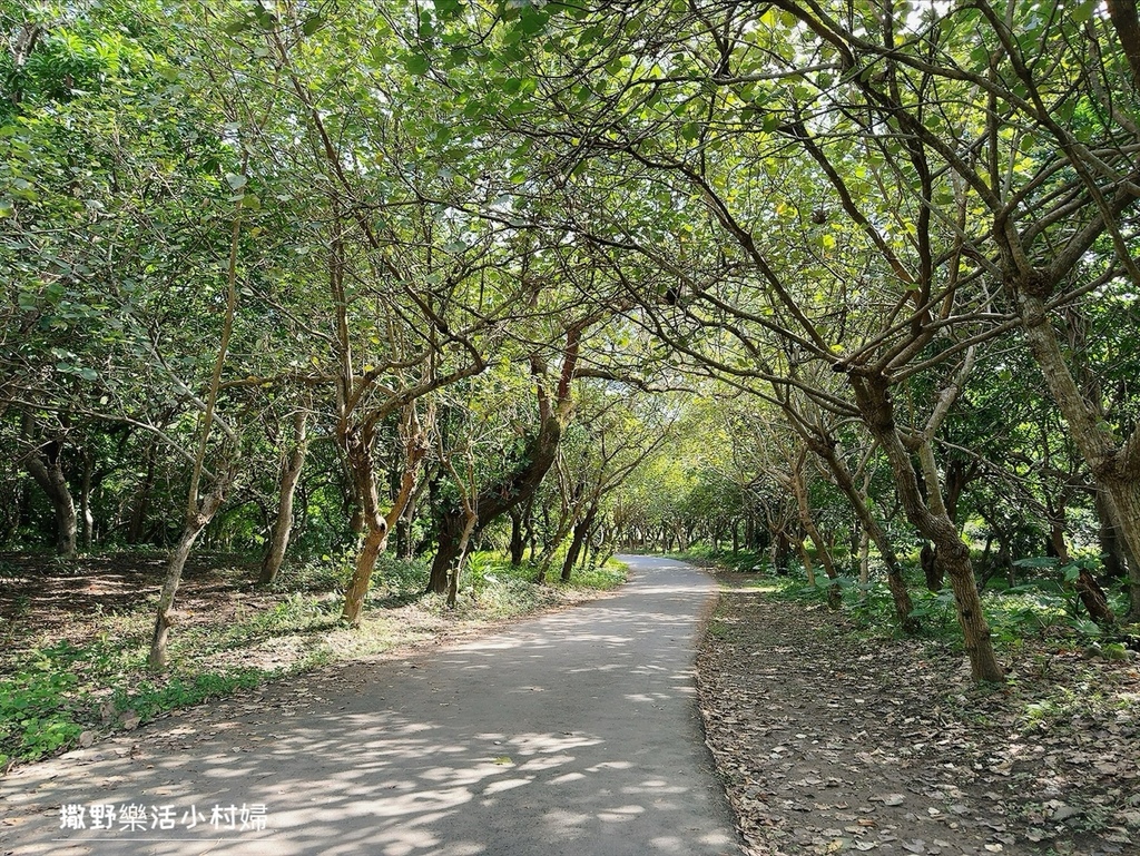 IG打卡必拍紅磚八角樓【頭城濱海森林公園】絕美海景第一排，晴