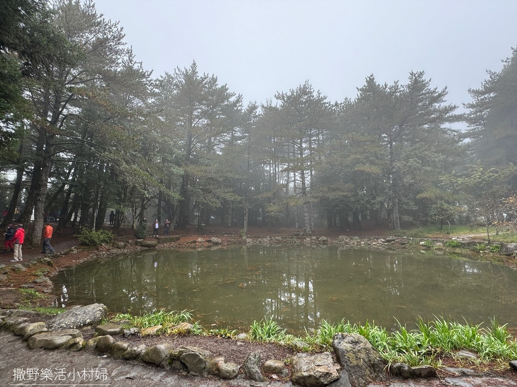 煙雨迷濛中的高山仙境【福壽山農場_天池】具有靈氣終年不竭，池