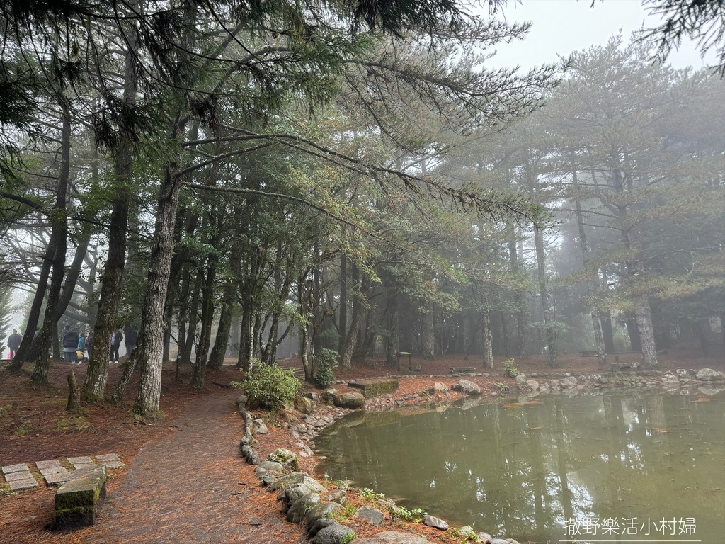 煙雨迷濛中的高山仙境【福壽山農場_天池】具有靈氣終年不竭，池