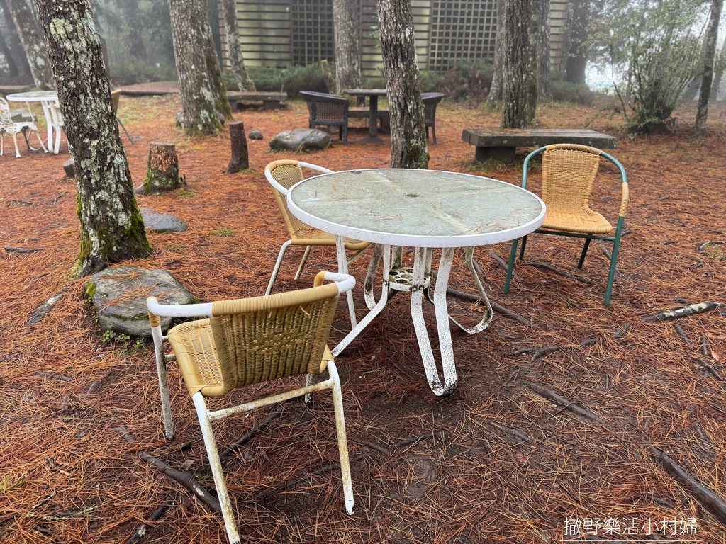 煙雨迷濛中的高山仙境【福壽山農場_天池】具有靈氣終年不竭，池