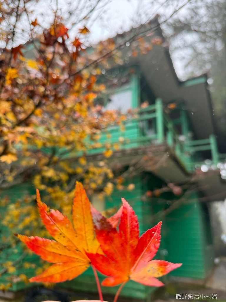 煙雨迷濛中的高山仙境【福壽山農場_天池】具有靈氣終年不竭，池