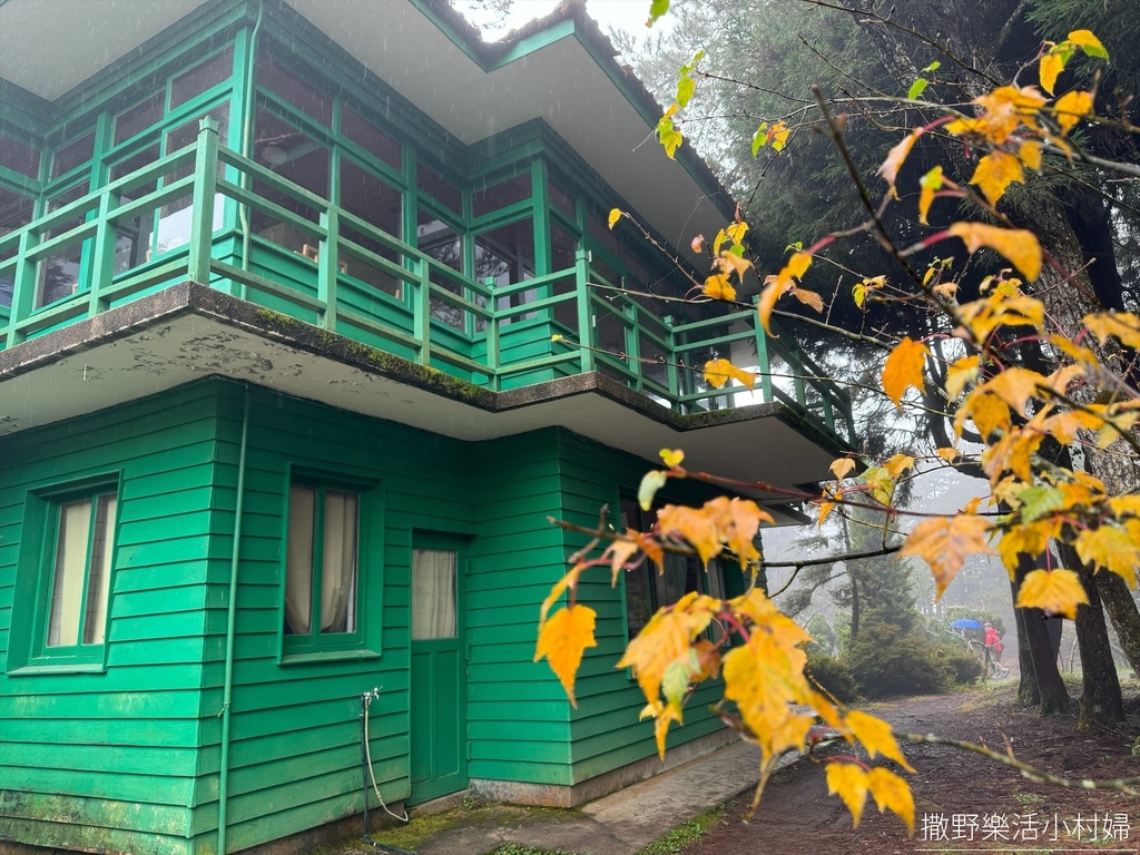 煙雨迷濛中的高山仙境【福壽山農場_天池】具有靈氣終年不竭，池