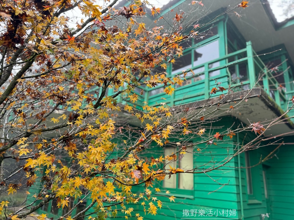 煙雨迷濛中的高山仙境【福壽山農場_天池】具有靈氣終年不竭，池