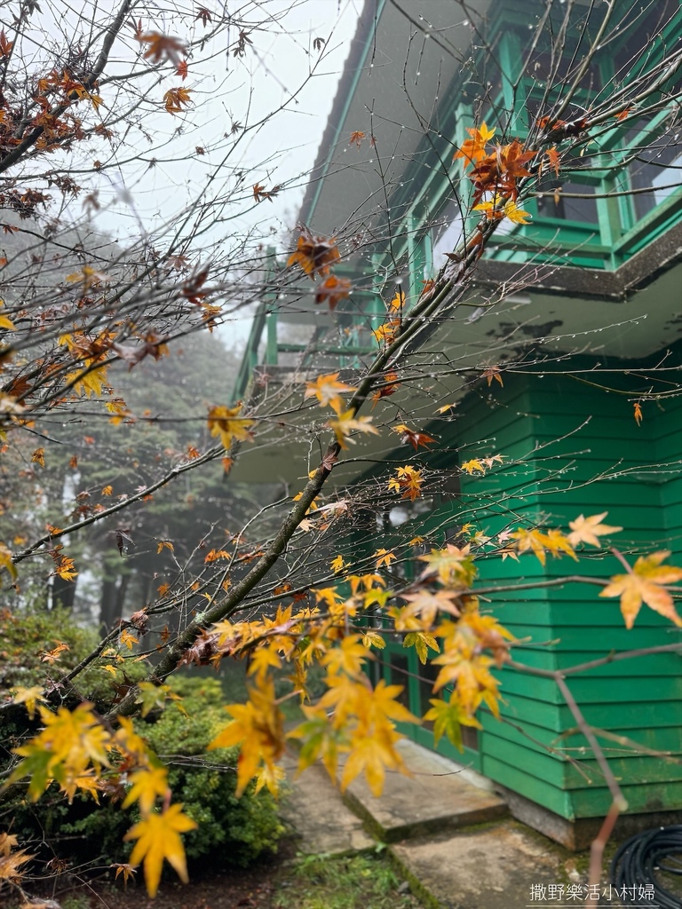 煙雨迷濛中的高山仙境【福壽山農場_天池】具有靈氣終年不竭，池