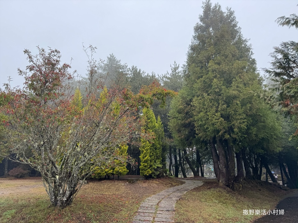 煙雨迷濛中的高山仙境【福壽山農場_天池】具有靈氣終年不竭，池