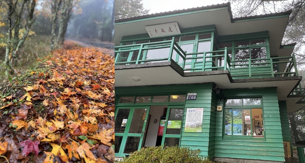 煙雨迷濛中的高山仙境【福壽山農場_天池】具有靈氣終年不竭，池