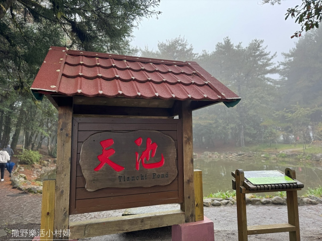 煙雨迷濛中的高山仙境【福壽山農場_天池】具有靈氣終年不竭，池