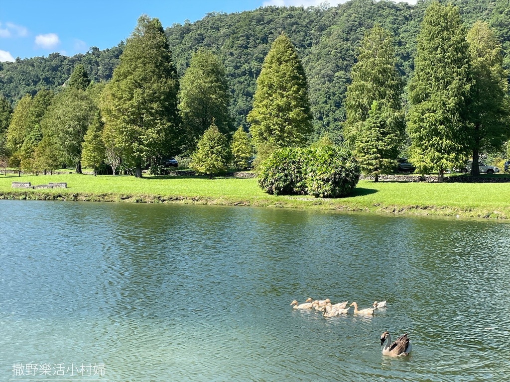 一年四季都好拍的秘境【蜊埤湖】絕美湖光山色倒影，肥肥鴨鵝戲水