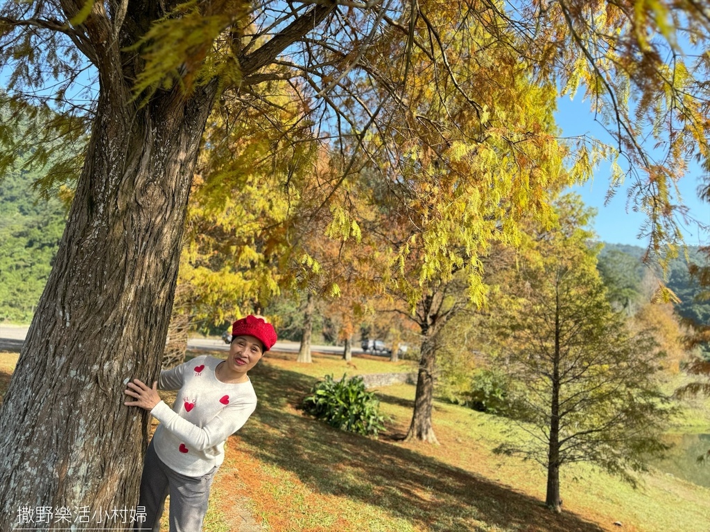 一年四季都好拍的秘境【蜊埤湖】絕美湖光山色倒影，肥肥鴨鵝戲水