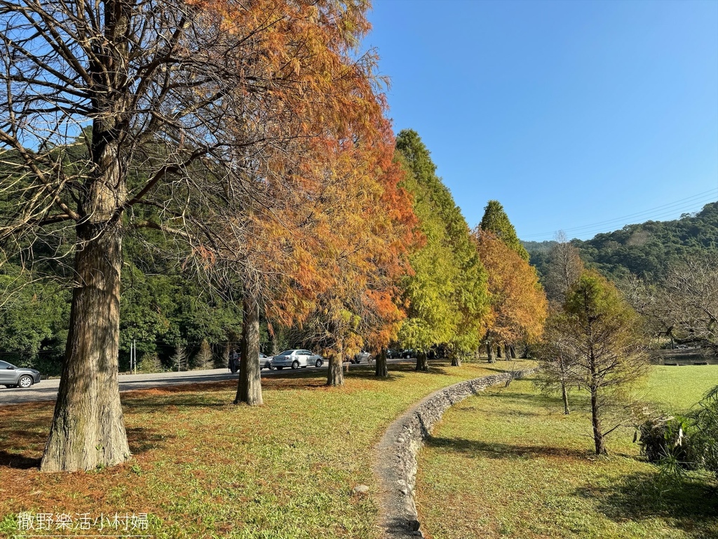 一年四季都好拍的秘境【蜊埤湖】絕美湖光山色倒影，肥肥鴨鵝戲水