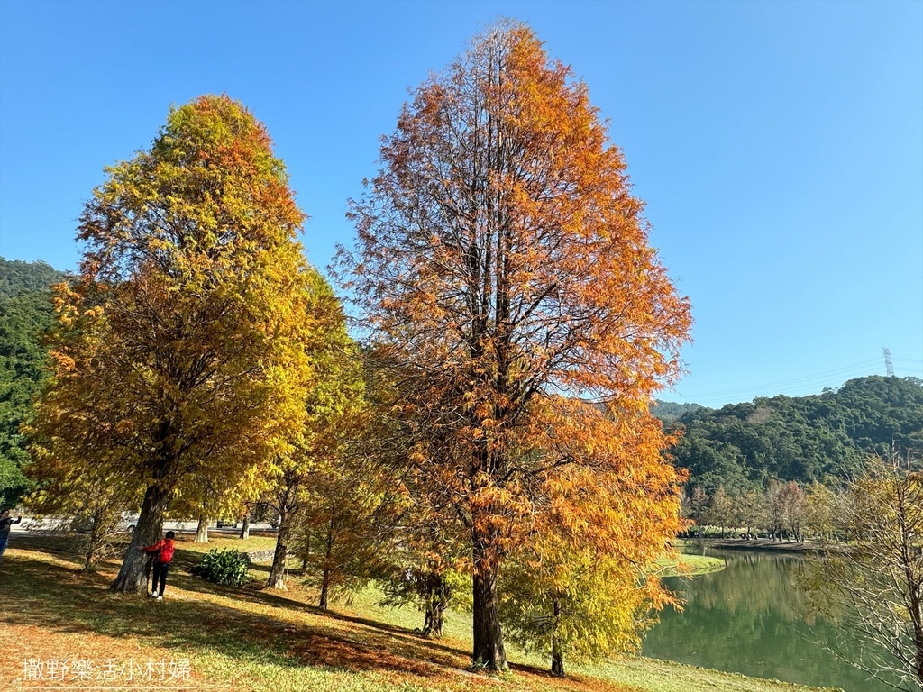 一年四季都好拍的秘境【蜊埤湖】絕美湖光山色倒影，肥肥鴨鵝戲水