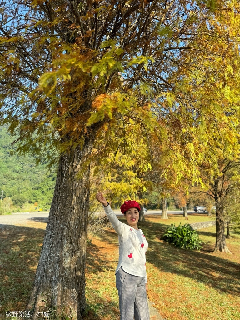 一年四季都好拍的秘境【蜊埤湖】絕美湖光山色倒影，肥肥鴨鵝戲水