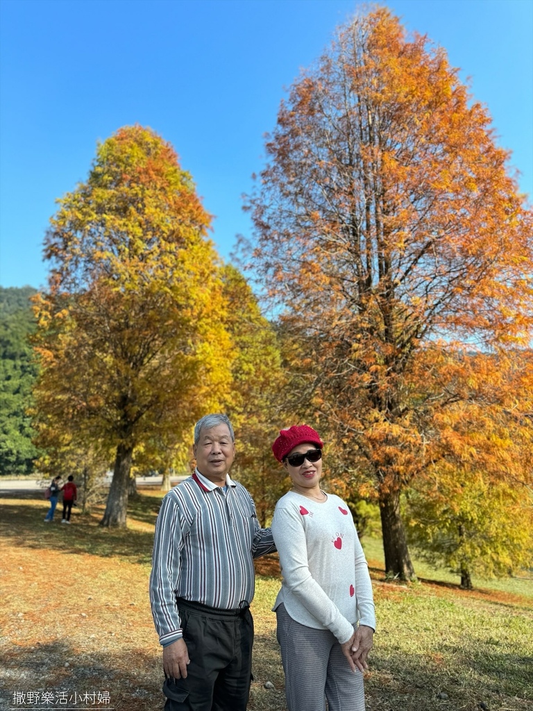 一年四季都好拍的秘境【蜊埤湖】絕美湖光山色倒影，肥肥鴨鵝戲水