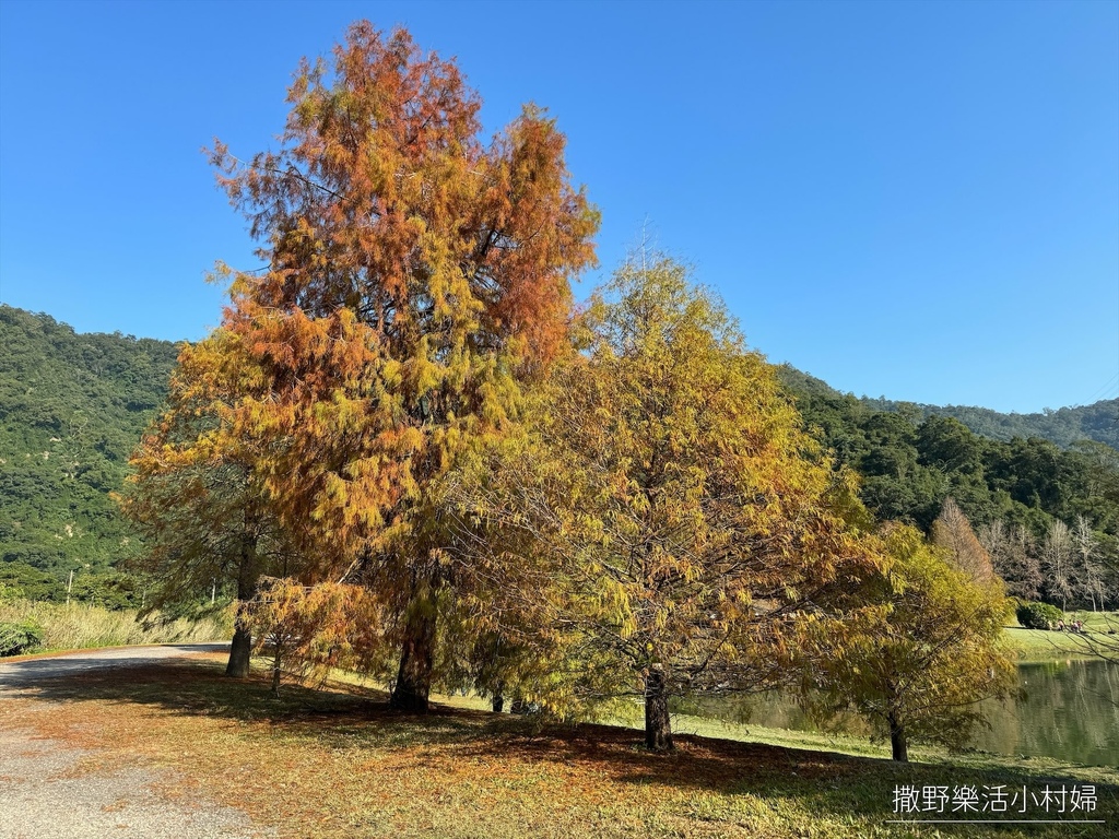 一年四季都好拍的秘境【蜊埤湖】絕美湖光山色倒影，肥肥鴨鵝戲水