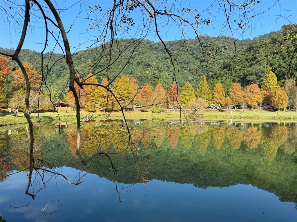 一年四季都好拍的秘境【蜊埤湖】絕美湖光山色倒影，肥肥鴨鵝戲水