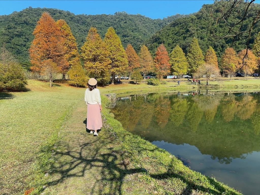 一年四季都好拍的秘境【蜊埤湖】絕美湖光山色倒影，肥肥鴨鵝戲水