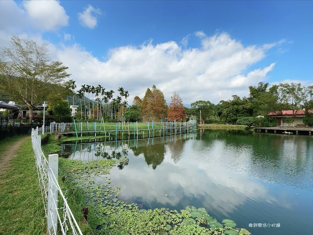 ,宜蘭,員山,宜蘭景點,員山景點,雷公埤,落羽松,池塘,公園,