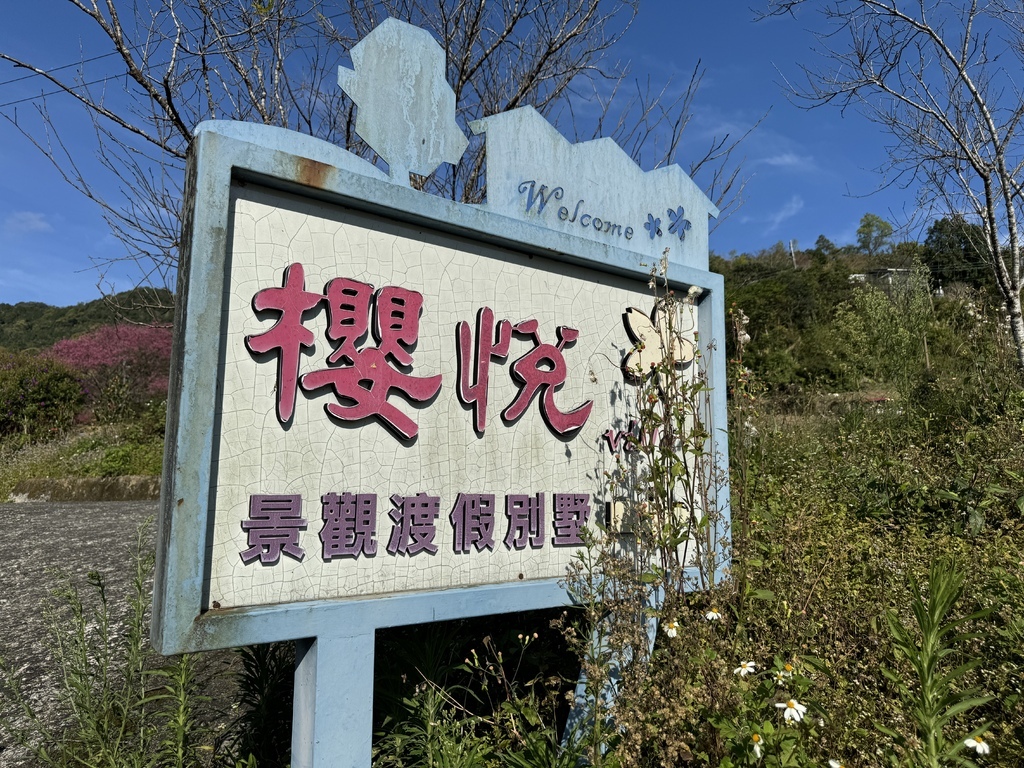 宜蘭賞櫻秘境【櫻悅景觀渡假別墅】茶園櫻花隧道｜大同鄉玉蘭茶園