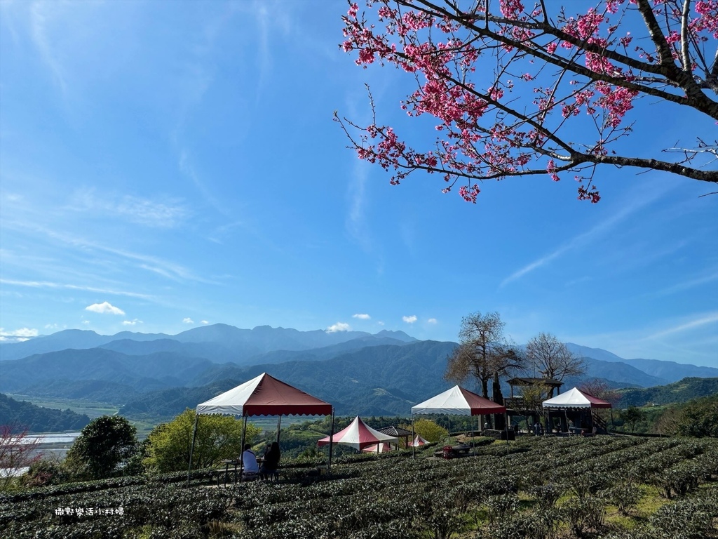 宜蘭,大同,宜蘭景點,大同景點,玉蘭茶園,宜蘭茶園,大同茶園,茶園,蘭陽溪,玉蘭休閒農業區,雪山,太平山