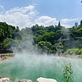 久違新中橫【塔塔加、特富野古道】快閃清境/合歡山暗空公園/鳶