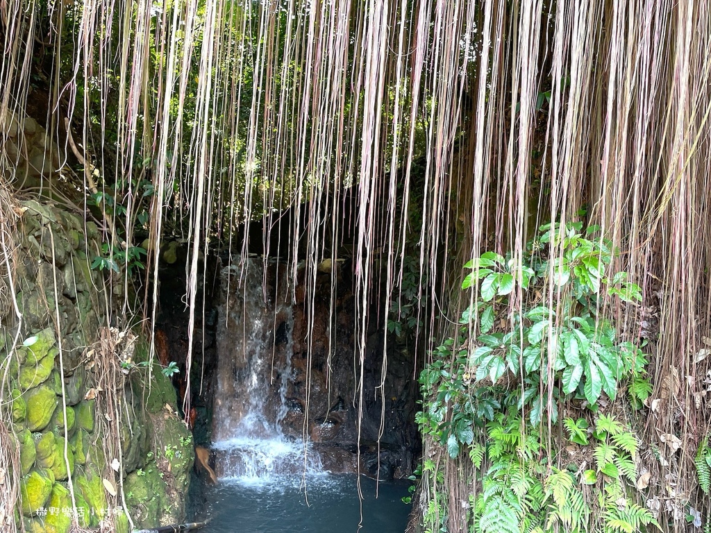 台北免費景點【地熱谷公園】仙氣飄渺的環湖步道，體驗青礦泉手湯