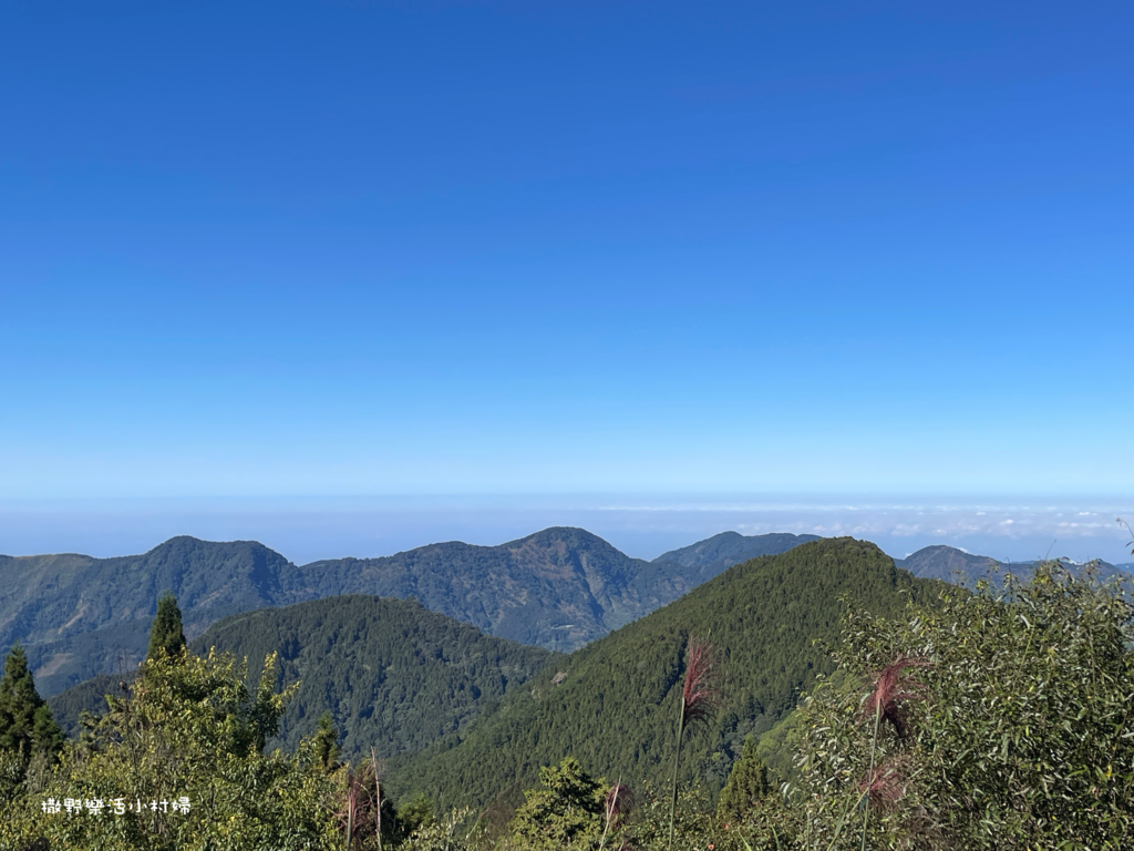 久違新中橫【塔塔加、特富野古道】快閃清境/合歡山暗空公園/鳶